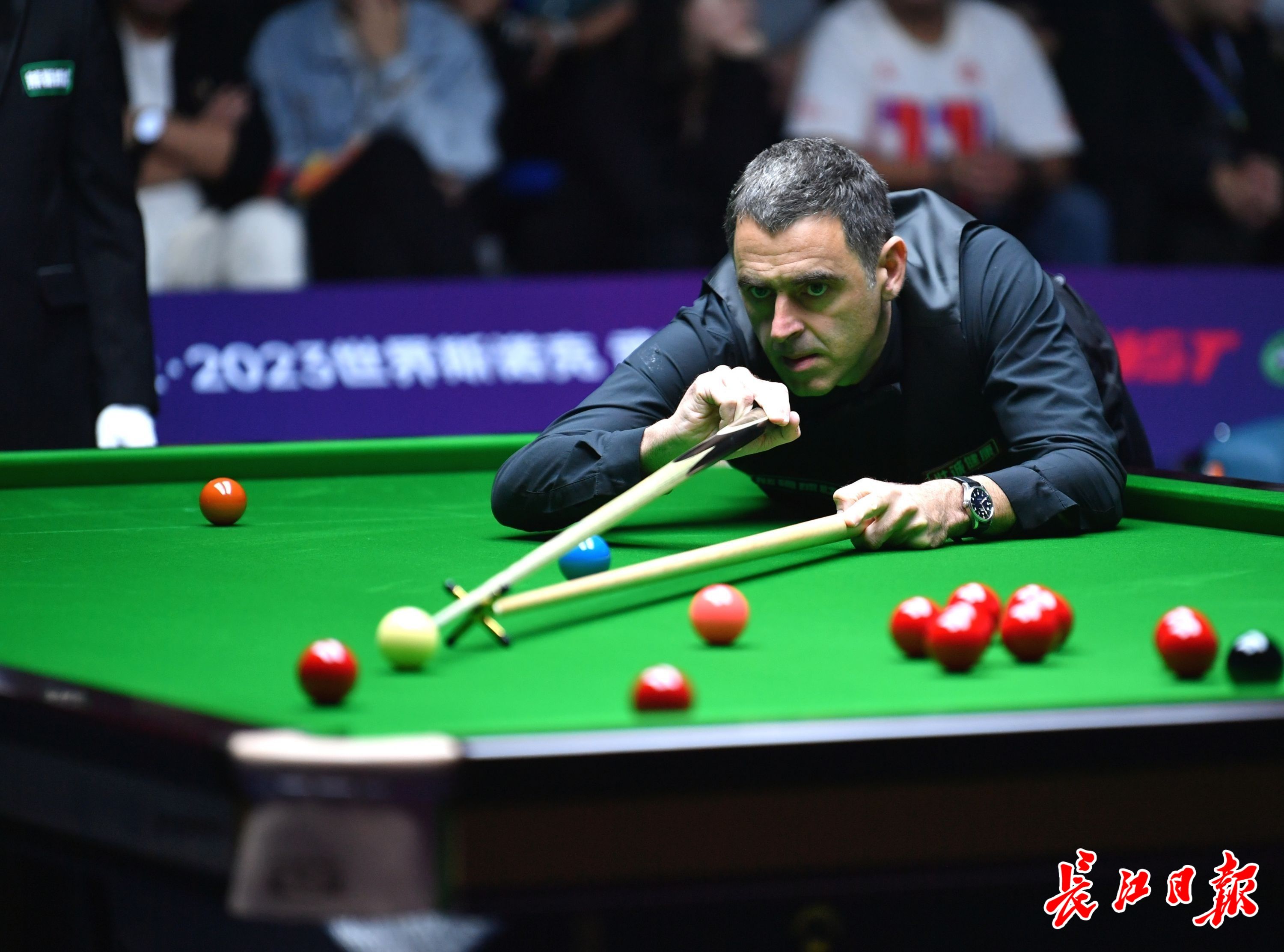 风格稳定带 风格稳定带